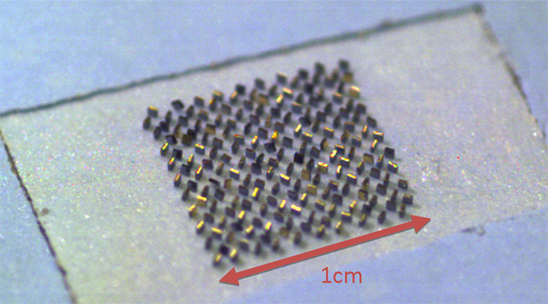 Assembly on Adhesive Surface