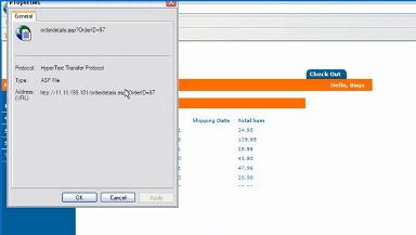 Web Application Parameter Tampering Demonstration Screenshot